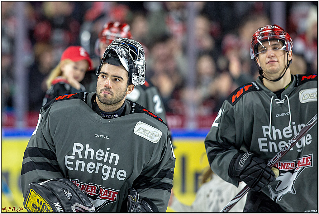 DEL; Koelner Haie - Fischtown Pinguins Bremerhaven, 06.01.2019